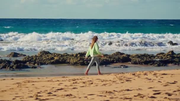 Das Mädchen Geht Vor Dem Hintergrund Der Wellen Des Tosenden — Stockvideo