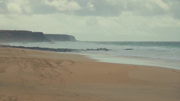 Дикий Пляж Людей Облачную Погоду Высококачественные Кадры — стоковое видео