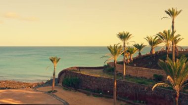 Palmiye ağaçlarının olduğu katlar, deniz manzarasının arka planına karşı. Yüksek kalite 4k görüntü