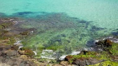 Temiz suyu olan kayalık bir sahil, sığ. Yüksek kalite 4k görüntü