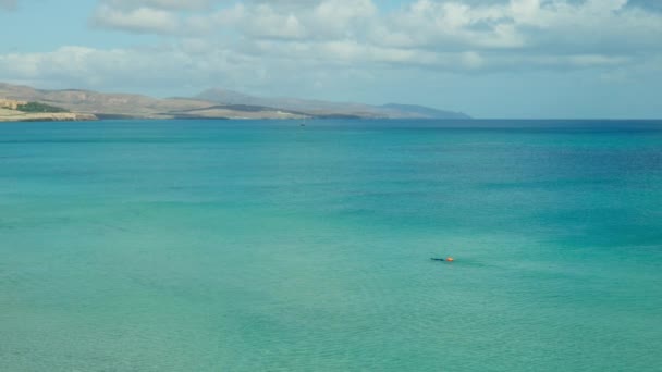 Морський Пейзаж Дайвер Плаває Блакитному Спокійному Морі Високоякісні Кадри — стокове відео