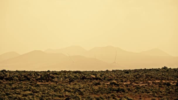 Upptäck Det Unika Landskapet Fuerteventura Vulkanisk Med Karga Klippor Sandstränder — Stockvideo