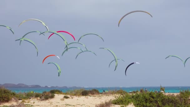 Colorful Domes Kites Soar High Sky Stunning Sea View Creating — Stock Video