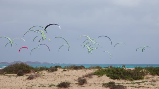 Colorful Parafoils Kites Fill Sky Numerous Athletes Participate Kite Related — Stock Video