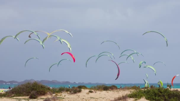 Colorful Kites Fill Sky Athletes Prepare Exciting Kiteboarding Competitions Get — Stock Video