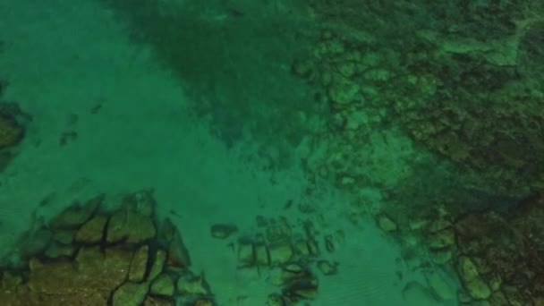 Deniz Tabanının Altındaki Güzelliğinin Yüzeyin Altında Görülebildiği Berrak Suların Üzerinde — Stok video