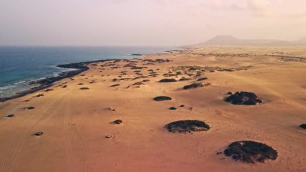 Experience Breathtaking Aerial View Stunning Dunes Picturesque Coastline Fuerteventura Thrilling — Stock Video