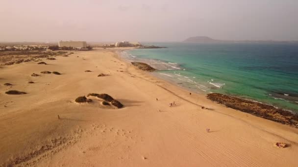 Embark Captivating Flight Sandy Beach Fuerteventura Endless Dunes Create Mesmerizing — Stock Video