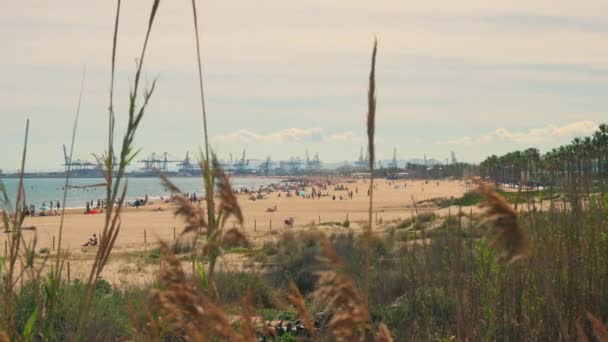 Limana Doğru Uzanan Büyüleyici Bir Kıyı Manzarası Sunan Valencia Nın — Stok video