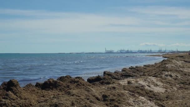 Kirlenmiş Bir Şehir Plajının Endişe Verici Görüntüsüne Tanık Olmak Kıyı — Stok video