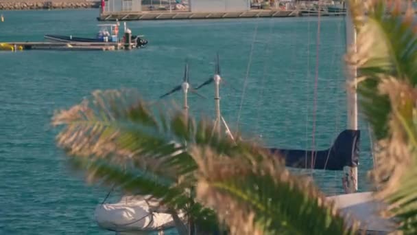 ヨットを飾る風力タービンで 海のマリーナで強い風の力を体験してください 高品質4K映像 — ストック動画