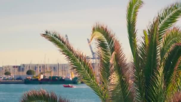 港の雄大な船を背景に 風に揺れるヤシの葉の優雅なダンスを目撃してください 高品質4K映像 — ストック動画