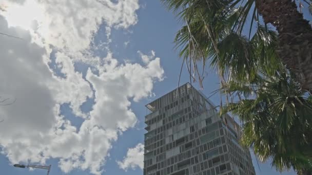 Высокое Здание Рядом Пальмой — стоковое видео