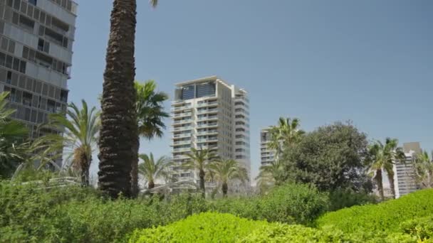 Palmiye Ağaçlarının Yanında Bir Çift Yüksek Bina — Stok video