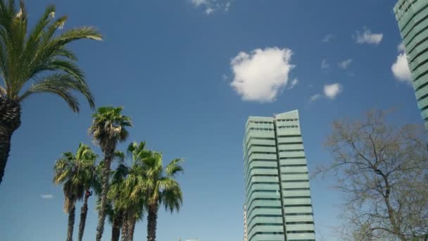 背の高い空の背景とヤシの木のある建物 — ストック動画