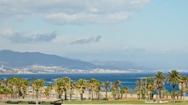 Arka planda palmiye ağaçları ve okyanus olan bir sahil.