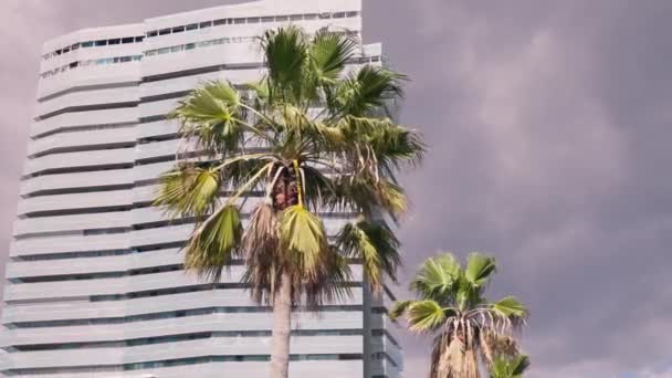 Высокое Здание Пальмами Перед Ним — стоковое видео