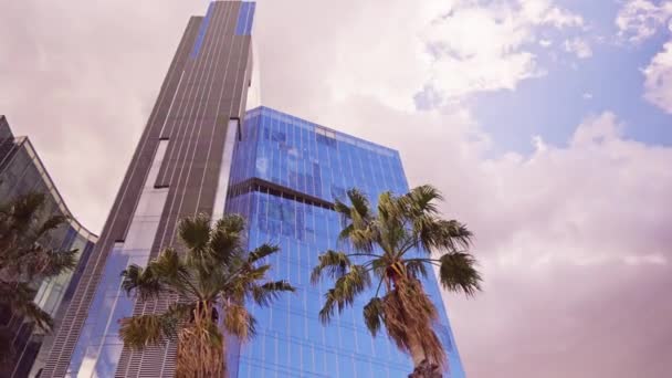 Wysoki Budynek Palmami Przed Nim — Wideo stockowe