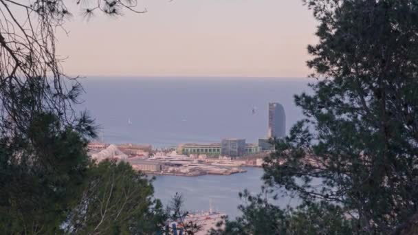 丘からの街と港の景色 — ストック動画