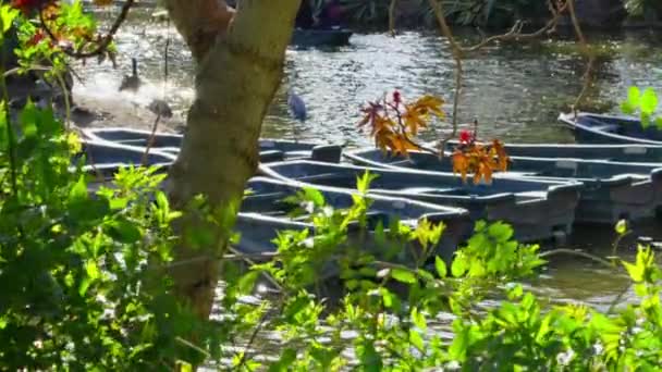 Ένα Ζευγάρι Των Σκαφών Που Κάθονται Στο Νερό — Αρχείο Βίντεο