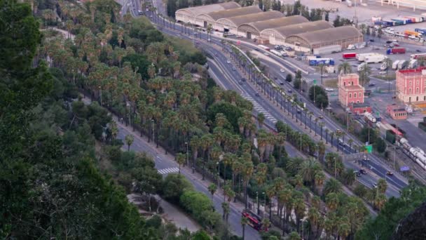 Eine Luftaufnahme Einer Stadt Mit Palmen — Stockvideo