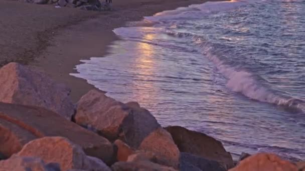 Okyanusun Kıyısındaki Bir Plajda Duran Bir Çift Insan — Stok video