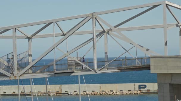 Puente Sobre Gran Cuerpo Agua — Vídeos de Stock