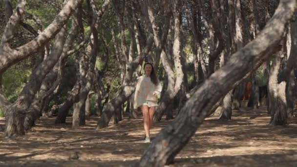 Uma Mulher Está Caminhando Por Bosque Árvores — Vídeo de Stock