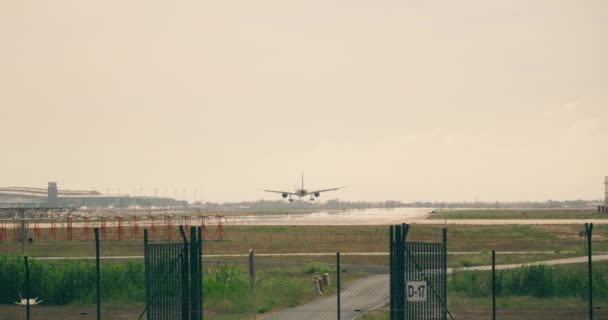 Het Vliegtuig Landt Het Vliegveld Hoge Kwaliteit Beeldmateriaal — Stockvideo