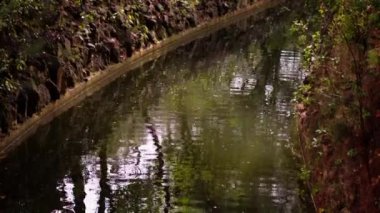 Parktaki küçük bir kanal, sudaki ağaçların yansıması. Yüksek kalite 4k görüntü