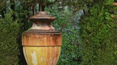 Parktaki antik vazo yeşilliğin arka planına karşı. Yüksek kalite 4k görüntü