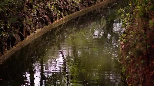 Ένα Μικρό Κανάλι Στο Πάρκο Αντανάκλαση Των Δέντρων Στο Νερό — Αρχείο Βίντεο