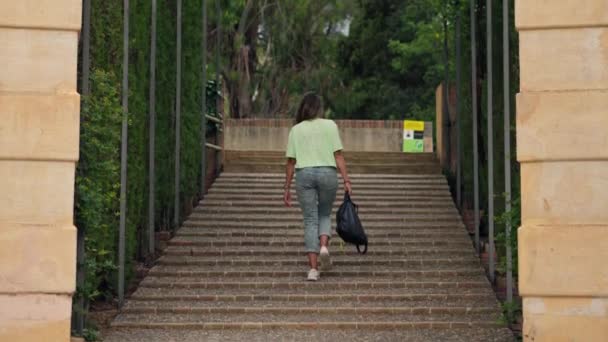 階段のフライトを歩いている女性 — ストック動画