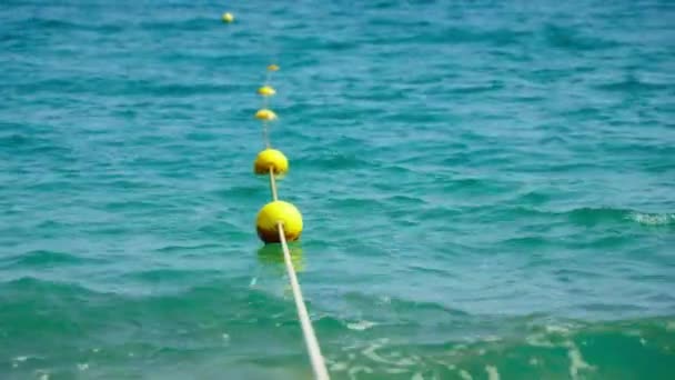 Bóias Praia Para Nadar Imagens Alta Qualidade — Vídeo de Stock