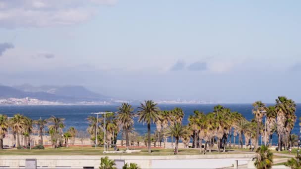 Uitzicht Een Strand Met Palmbomen Oceaan Achtergrond — Stockvideo