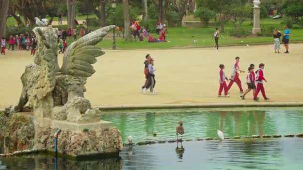 Grupo Pessoas Andando Torno Parque Lado Uma Lagoa — Vídeo de Stock