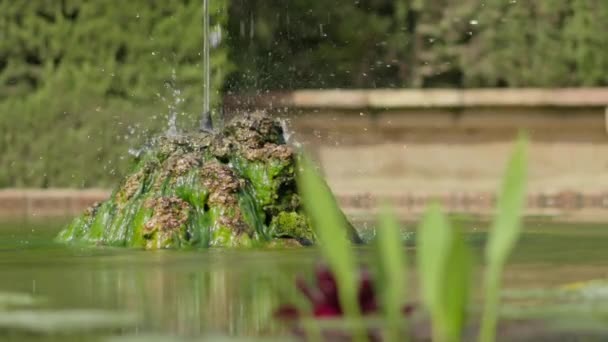 Krásný Rybník Elegantní Fontánou Voda Praskne Kameni Vysoce Kvalitní Záběry — Stock video
