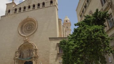 Palma de Mallorca 'nın merkezindeki katedral. Yüksek kalite 4k görüntü