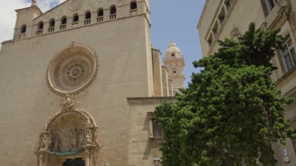 马洛尔卡帕尔马中心的大教堂 高质量的4K镜头 — 图库视频影像