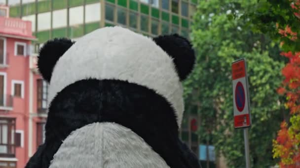 Uma Grande Figura Panda Uma Cabeça Fundo Cidade Imagens Alta — Vídeo de Stock