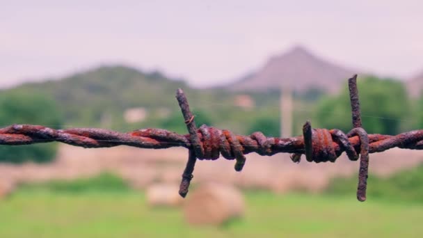 带刺铁丝网的背景是乡村的风景 高质量的4K镜头 — 图库视频影像