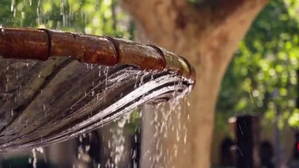 Padající Voda Misce Fontány Šplouchá Slunečních Paprscích Vysoce Kvalitní Záběry — Stock video