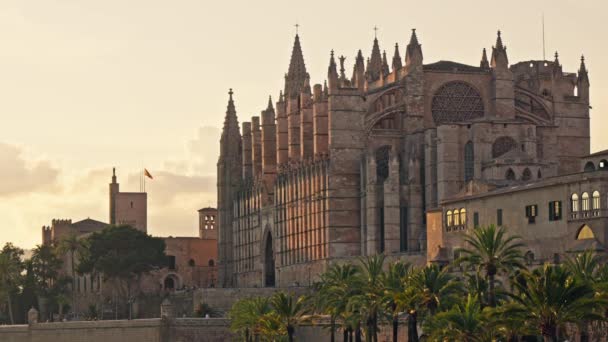 Principal Catedral Cidade Palma Maiorca Imagens Alta Qualidade — Vídeo de Stock
