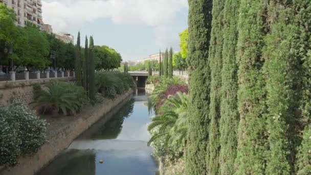 Vista Del Hermoso Canal Palma Mallorca Imágenes Alta Calidad — Vídeo de stock