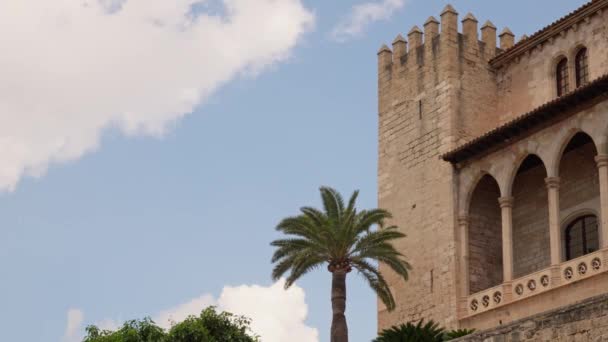 Bela Vista Parede Castelo Com Uma Torre Imagens Alta Qualidade — Vídeo de Stock