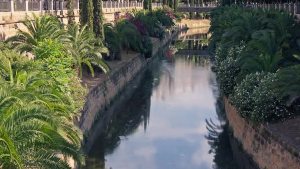 Vacker Utsikt Över Kanalen Staden Palma Mallorca Högkvalitativ Film — Stockvideo
