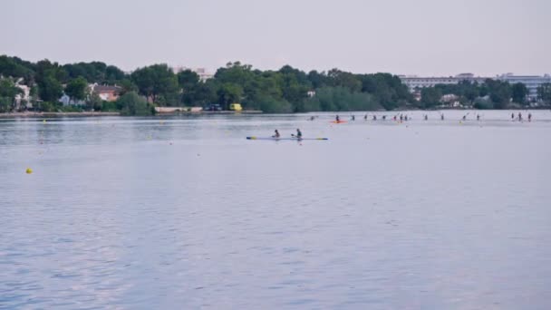 Grupo Atletas Haciendo Kayak Lago Imágenes Alta Calidad — Vídeos de Stock