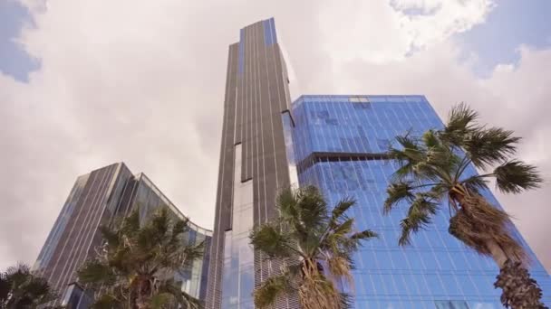 一座非常高的建筑物 前面有棕榈树 — 图库视频影像