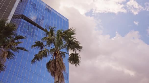 Önünde Palmiye Ağaçları Olan Yüksek Bir Bina — Stok video