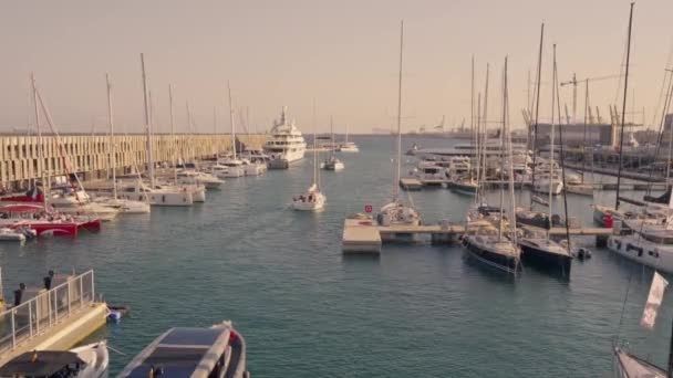 Egy Kikötő Tele Sok Hajóval Híd Mellett — Stock videók